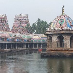 vaitheeswaran-koil-temple-4 (2)